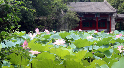羞羞视频免费在线观看家具福利