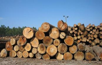 原木材料 原木材料