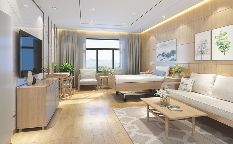 VIP单人套间家具 VIP单人套间家具